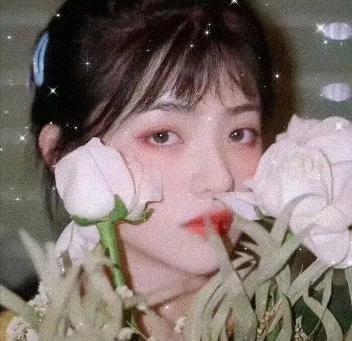 森林边缘的寂寞